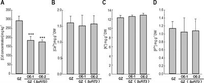 Corrigendum: BrMYB116 transcription factor enhances Cd stress tolerance by activating FIT3 in yeast and Chinese cabbage